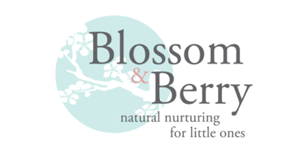 Blossom and Berry - WordPress Support Specialists | Updates, issues and ...